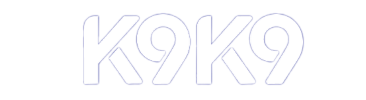 K9K91